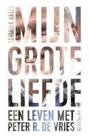 Mijn grote liefde - Tahmina Akefi - ebook