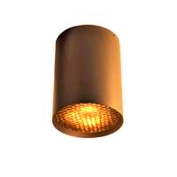 Trizo21 - 7Ty up ( zonder honeycomb) Plafondlamp