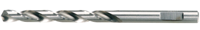 Festool Accessoires Spiraalboor HSS D 4,5/47 M/10 - 493440