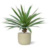 Yucca Kunstboeket 55 cm