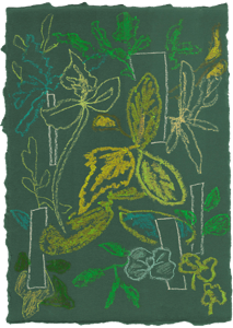 Moooi Carpets - Vloerkleed Sprouts Scarlet Green Soft Yarn -