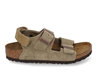 Birkenstock Milano AS narrow 1029471 taupe taupe maat 31 Birkenstock Milano AS narrow 1029471 taupe taupe maat 31