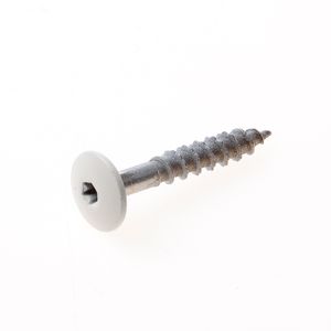 Kleurkopschroef rvs creme ral9001 4,8x32 t20