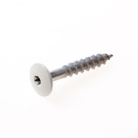 Kleurkopschroef rvs creme ral9001 4,8x32 t20