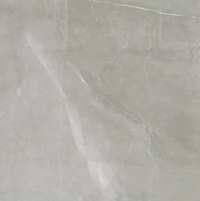 Florim Timeless 744872 Vloertegel 600X600 Grey 9Mm Glans Ret.