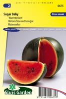 Watermeloen zaden Sugar Baby