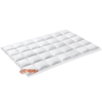 VanDyck Excellent Dekbed 650