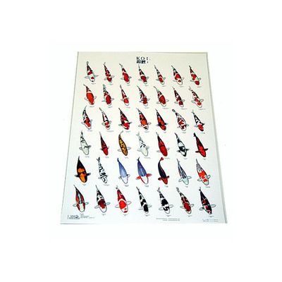 Koiposter Nr.1 Gelamineerd - A4 formaat