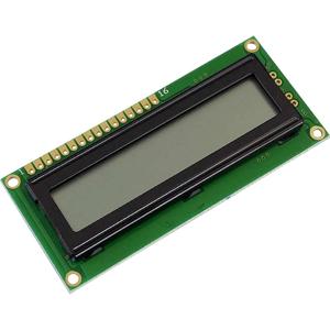 Display Elektronik LC-display (b x h x d) 80 x 36 x 6.6 mm