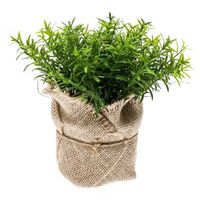 Kunstplantjes tijm kruiden groen in jute pot 16 cm    -