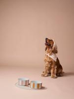 Tapijt voor FAMILY-voerbak beige