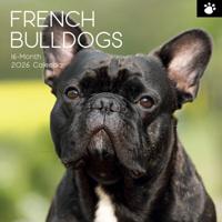 Franse Bulldog Kalender 2026