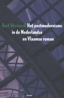 Het postmodernisme in de Nederlandse en Vlaamse roman (Paperback)