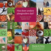 Hoe doen andere pleegouders dat? (Paperback)