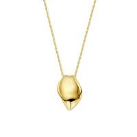 14k Geelgouden Collier met Hanger - Stijlvol en Tijdloos Ontwerp