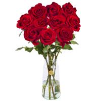 10 rode rozen - XL rozen - EverRed