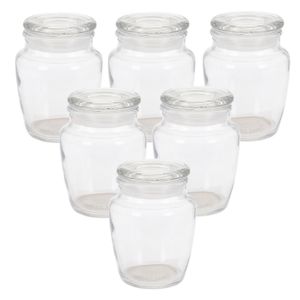 Kruidenpotjes/voorraadpotjes - 6x stuks - glas - transparant - 150 ml