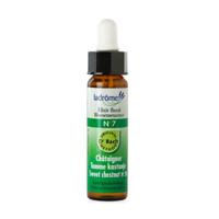 Ladrome Sweet chestnut/tamme kastanje 7 bio