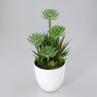 Plantje in kunststof pot Nova groen - Oosterik Home - thumbnail
