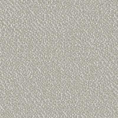 Dutch Wallcoverings Santa Fé Natures Weave - Taupe