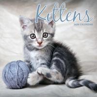 Kittens Kalender 2026