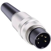 Lumberg SV 50 DIN-connector Stekker, recht Aantal polen: 5 Zilver 1 stuk(s)