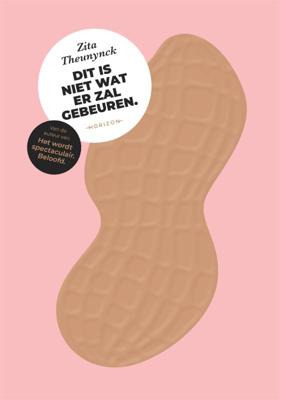 Dit is niet wat er zal gebeuren. (Paperback)