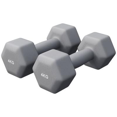 Vinyl halterset 2 x 4 kg