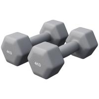 Vinyl halterset 2 x 4 kg