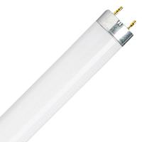OSRAM TL-lamp Energielabel: G (A - G) G5 13 W Buis (Ø x l) 16 mm x 517 mm 1 stuk(s)
