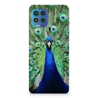 Motorola Moto G100 | TPU Hoesje | Pauw