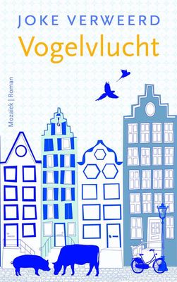 Vogelvlucht - Joke Verweerd - ebook