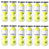 Engelhart Tennisballen - 36x stuks - in koker - Buitenspeelgoed - Tennissen - geel - sport