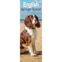 Engelse Springer Spaniel Kalender 2026 Slimline