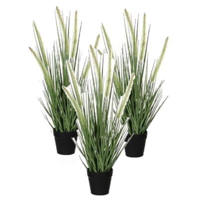 Mica Decorations Kunstplant Siergras - 3x stuks - dogtail - D30 x H53 cm - in zwarte pot