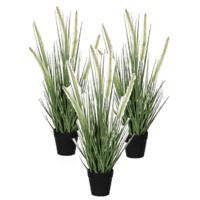 Mica Decorations Kunstplant Siergras - 3x stuks - dogtail - D30 x H53 cm - in zwarte pot