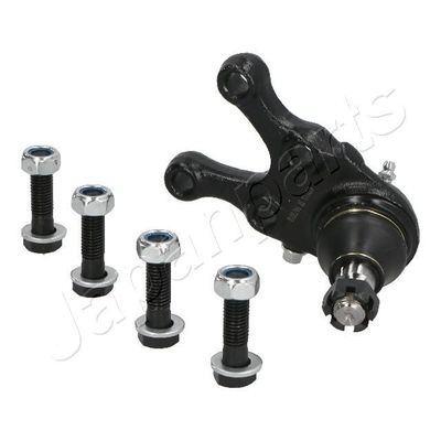 Fuseekogel BJ523R