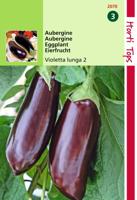 Aubergine Halflange Violette - Hortitops