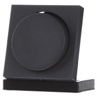 065028  - Cover plate for dimmer anthracite 065028 - thumbnail