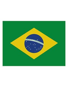 Printwear FLAGBR Flag Brazil