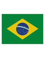 Printwear FLAGBR Flag Brazil