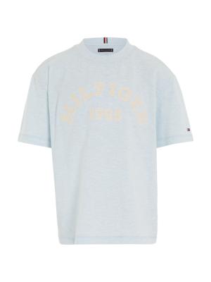 Monotype 1985 Arch Tee Breezy Blue Heather