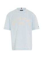 Monotype 1985 Arch Tee Breezy Blue Heather