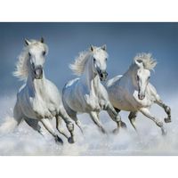 Witte paarden thema placemats 3D 30 x 40 cm - thumbnail