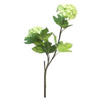 Viburnum Roseum x2 green 50 cm kunstbloem Erutan Avon - Erutan avon