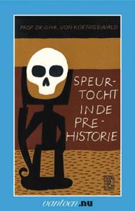 Speurtocht in de prehistorie (Paperback)