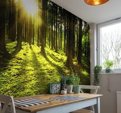 Fotobehang bos met stralend zonlicht