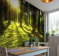 Fotobehang bos met stralend zonlicht