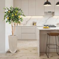 Citroen Kunstplant 120cm