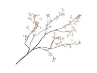 Silk-Ka kunst bessentak goud 133 cm - Silkka